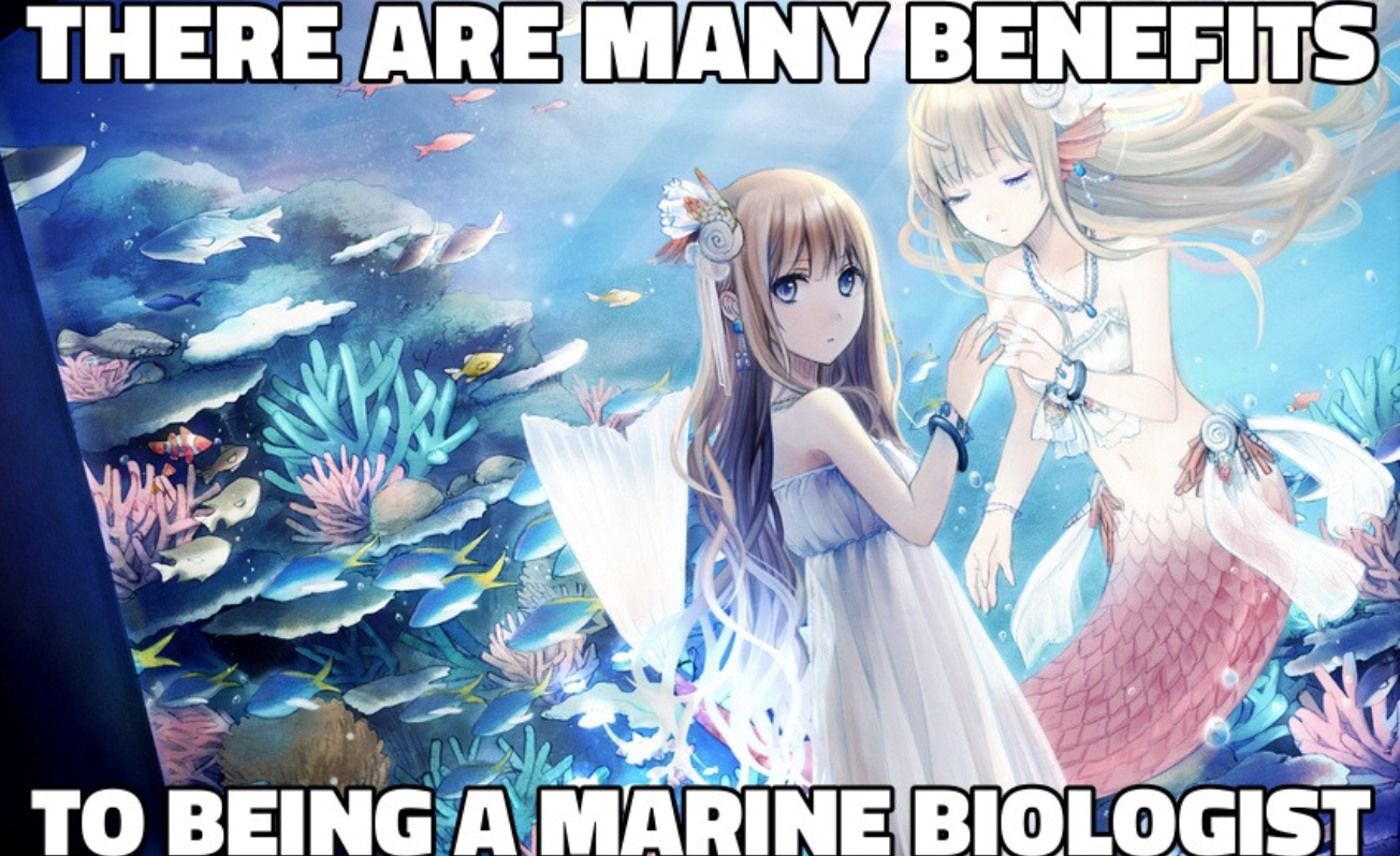 There Are Many Benefits To Being A Marine Biologist Meme Template