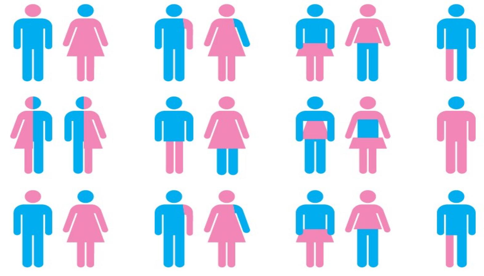 There Are More Than Two Genders Infographic Meme Template