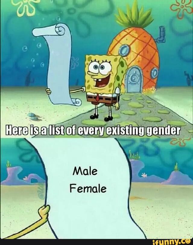 There Are Only Two Genders Meme Template