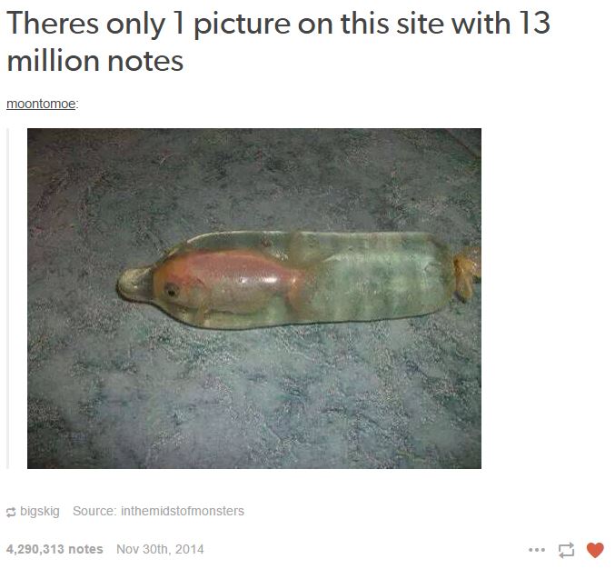 There's Only 1 Picture on This Site With 15 Million Notes Meme Template