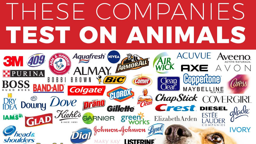 These Companies Test On Animals Meme Template