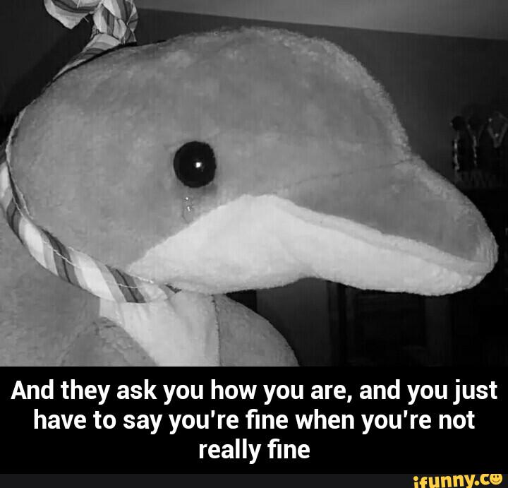 "They Ask You How You Are and You Say That You're Fine" Meme Template