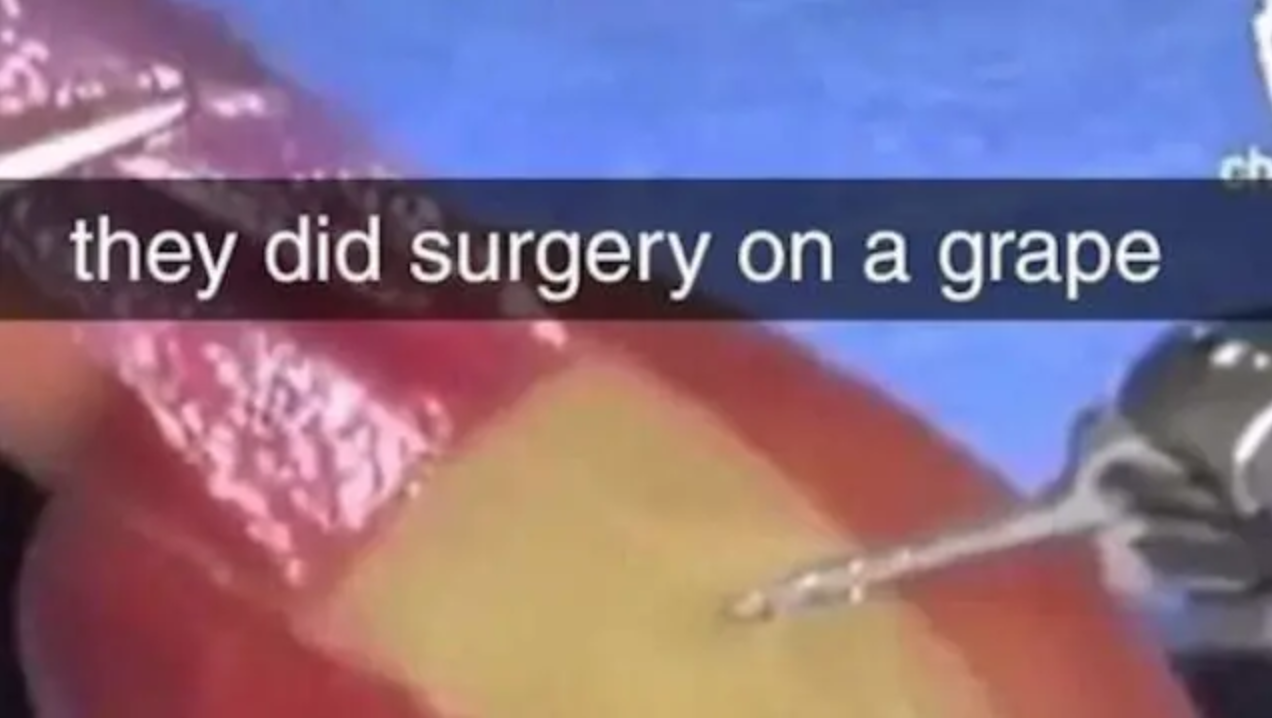 They Did Surgery On a Grape Meme Template