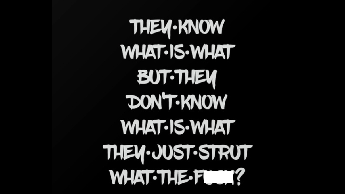 They Know What Is What But They Don't Know What Is What They Just Strut