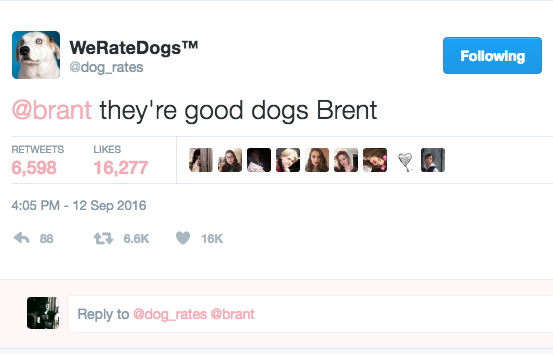 They're Good Dogs Brent Meme Template