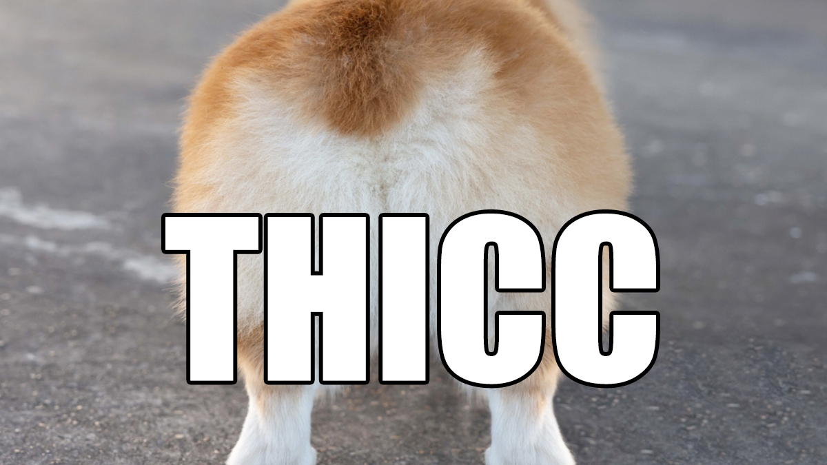 Thicc Meme Template