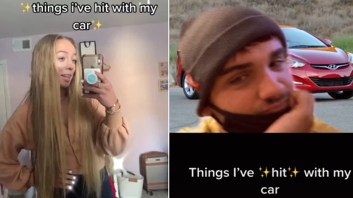 Things I've Hit With My Car Meme Template