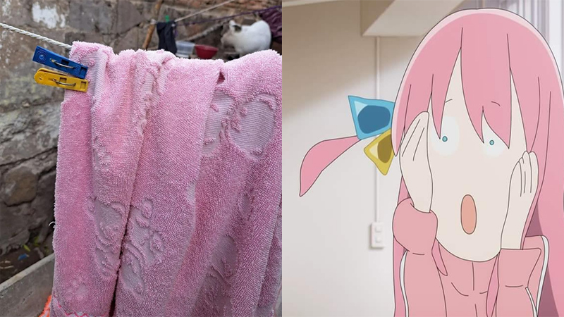 Things That Look Like Bocchi Meme Template