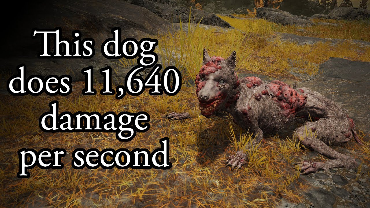 This Dog Does 11,640 Damage per Second