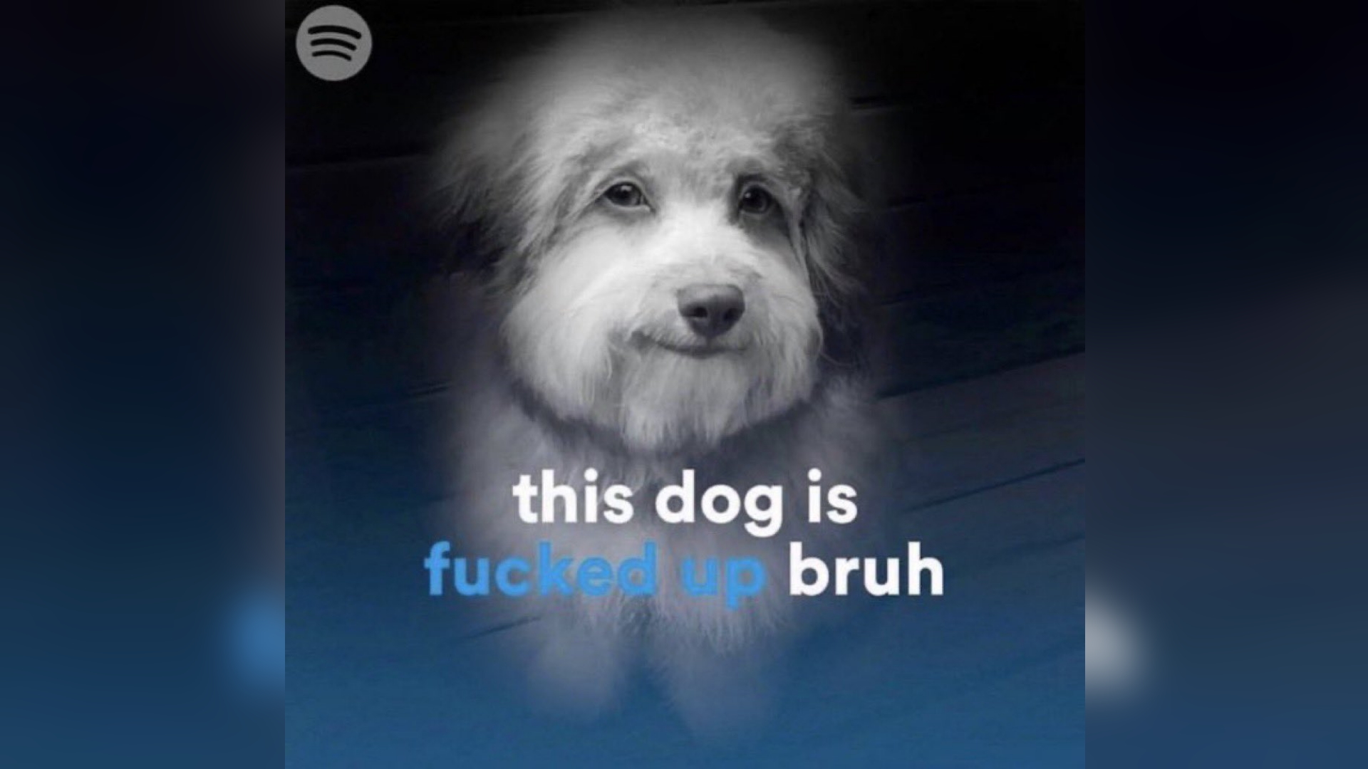 This Dog Is Fucked Up Bruh Meme Template
