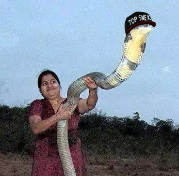 This Is Snek Meme Template