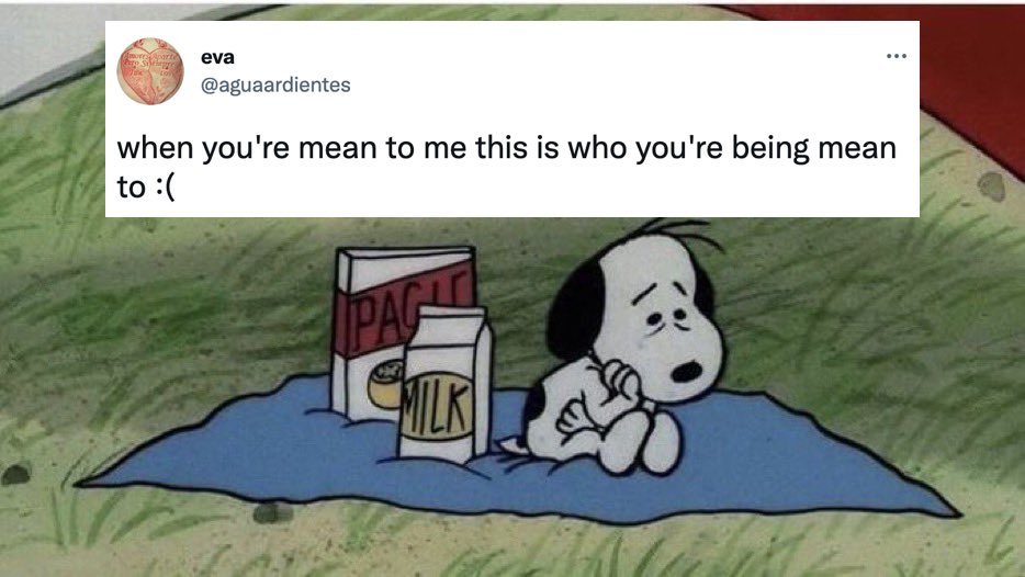 This Is Who You're Being Mean To