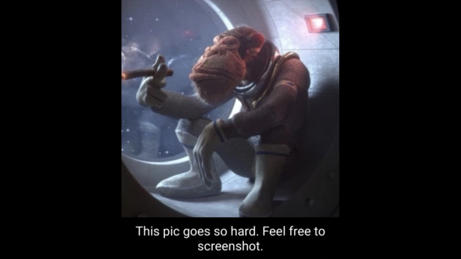 This Pic Goes So Hard, Feel Free To Screenshot Meme Template