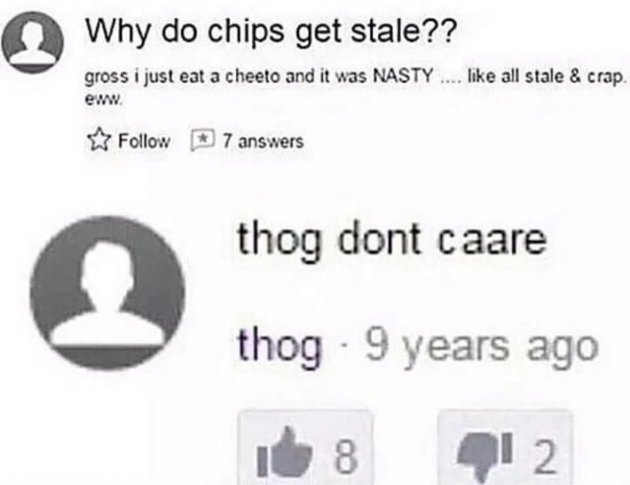 thog dont caare