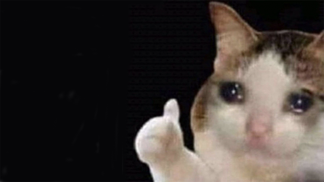Thumbs Up Crying Cat Meme Template
