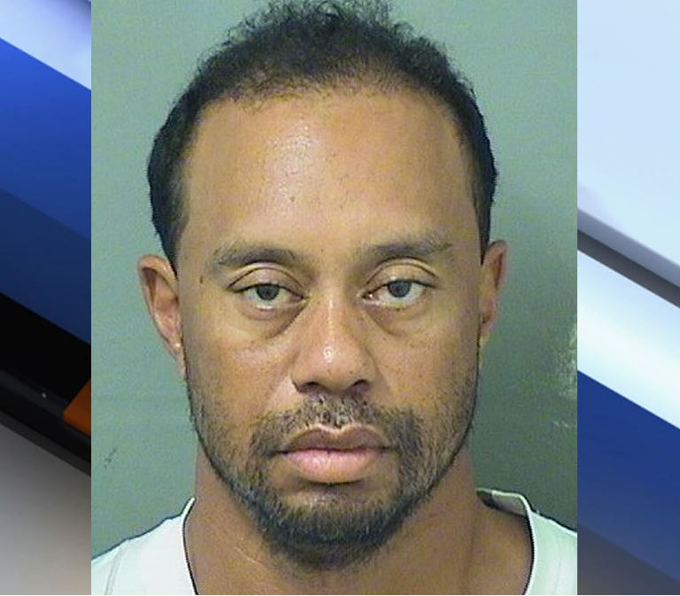 Tiger Woods' Mugshot