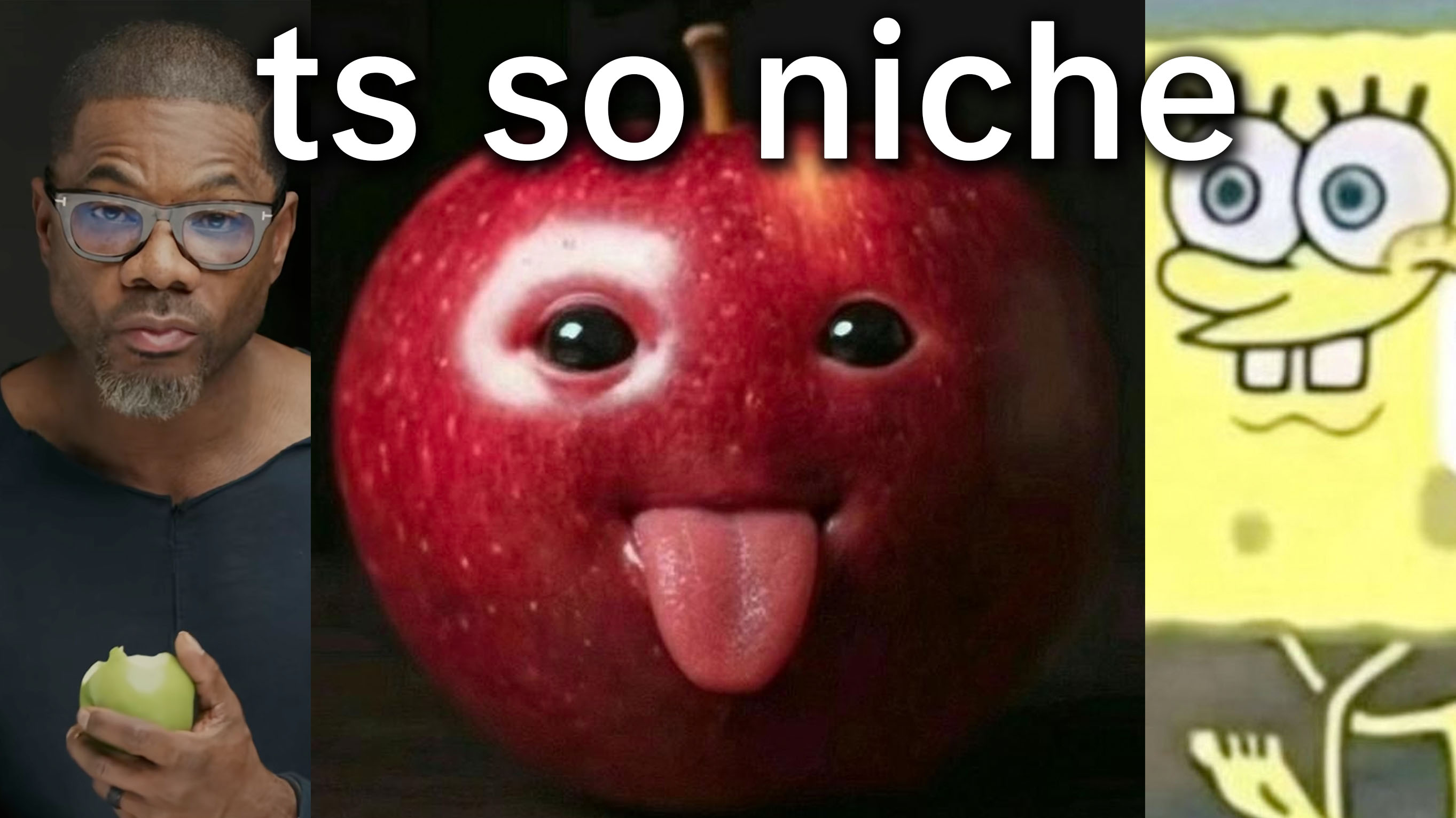 TikTok Niche Community / NicheTok Meme Template