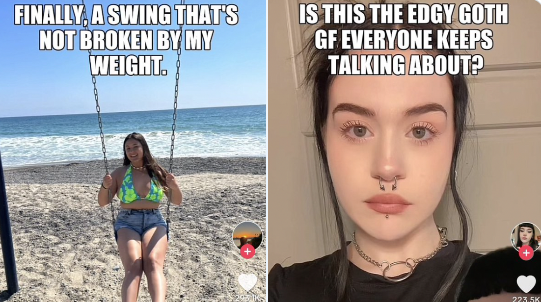 TikTok's AI Meme / Roast Filter