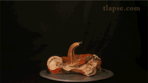 Time Lapse Photography Meme Template