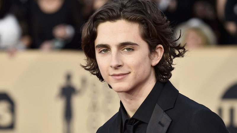 Timothée Chalamet Meme Template