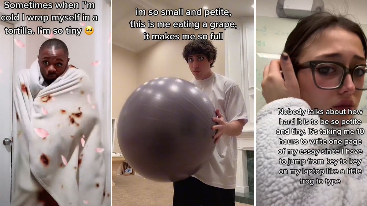 Tiny TikTok / I'm So Small and Petite Meme Template