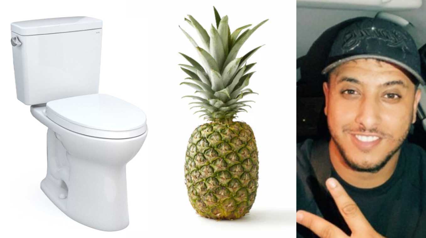Toilettes Ananas Nasdas