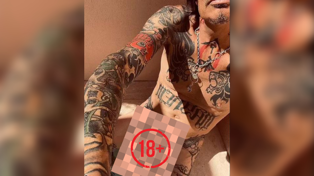 Tommy Lee's Dick Pic Meme Template