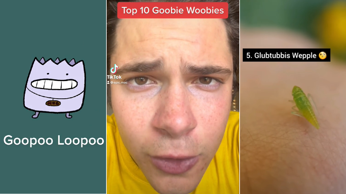 Top 10 Goobie Woobies
