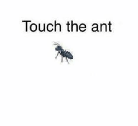 Touch the Ant Meme Template