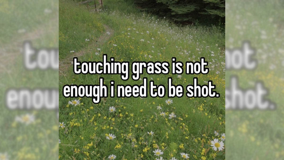 Touching Grass Is Not Enough