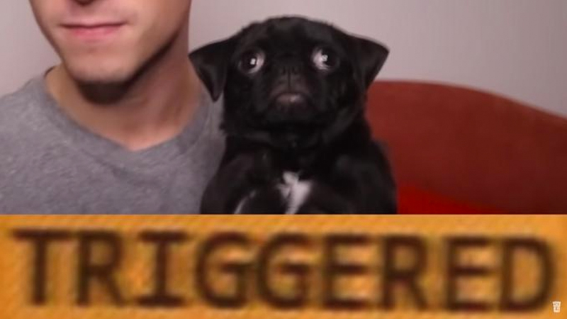 Trigger / Triggered (Slang) Meme Template