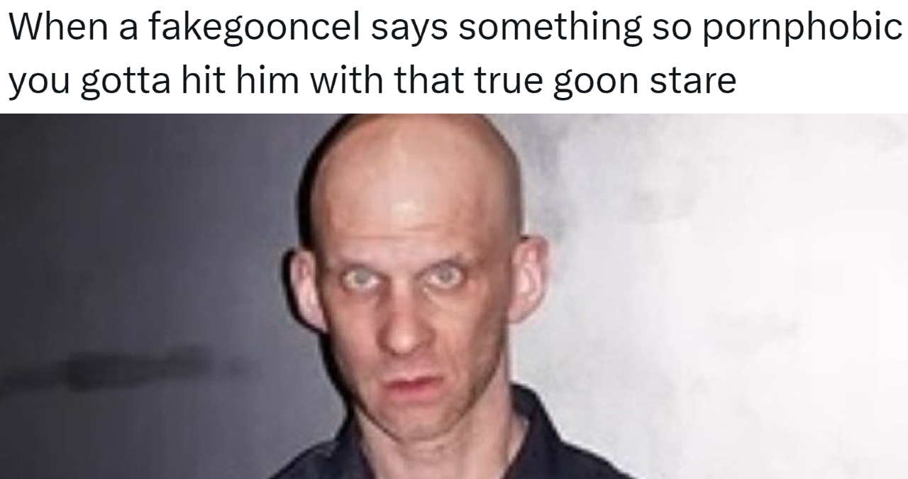 True Goon Stare / When A Fakegooncel Says Something Pornophobic Meme Template