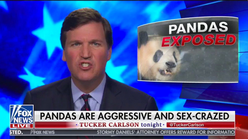 Tucker Carlson's Sex-Crazed Pandas Meme Template