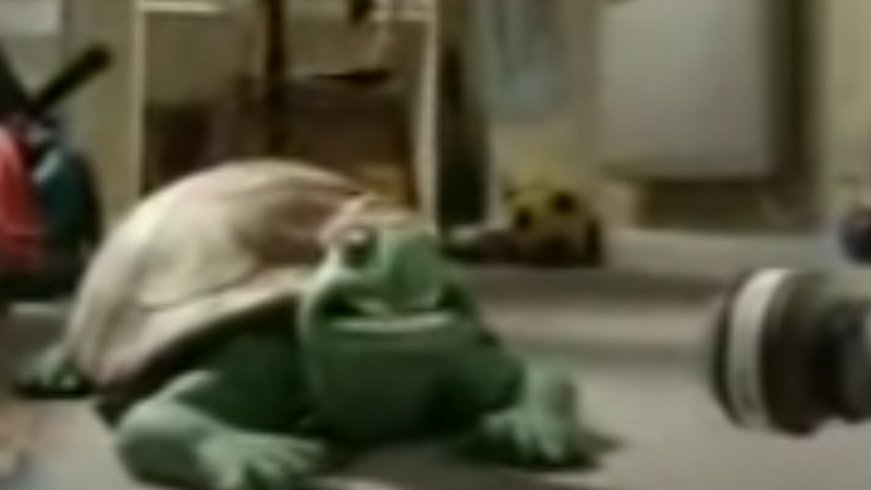 Turtle Song Persian Language