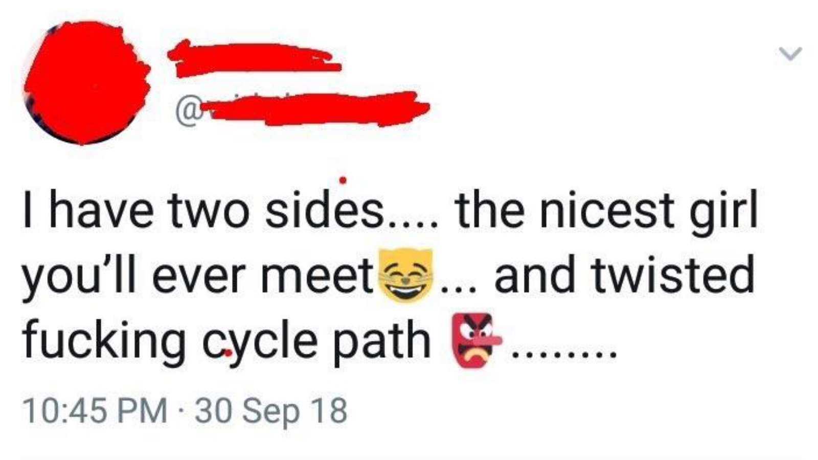 Twisted Fucking Cycle Path Meme Template