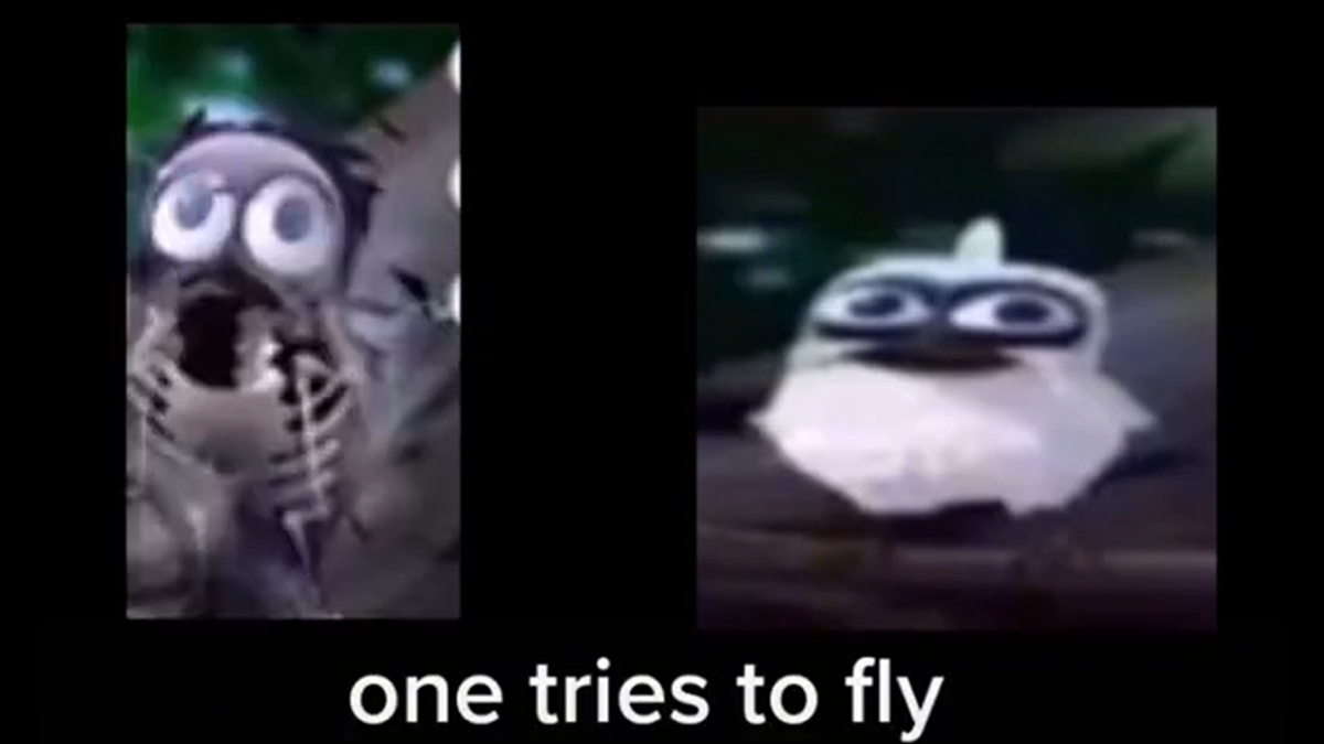 Two Birds On A Wire Meme Template