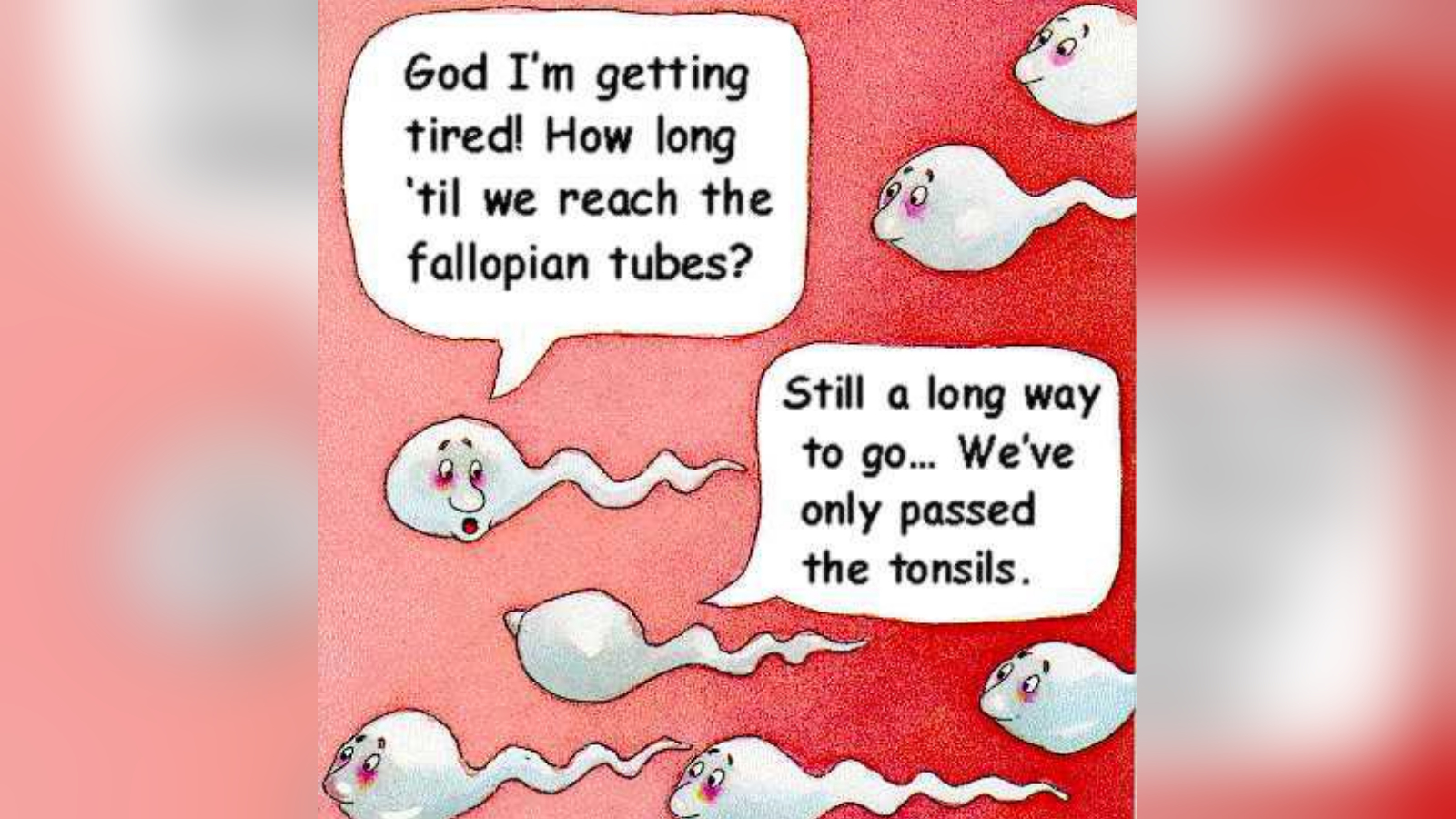 Two Sperm Cells Talking