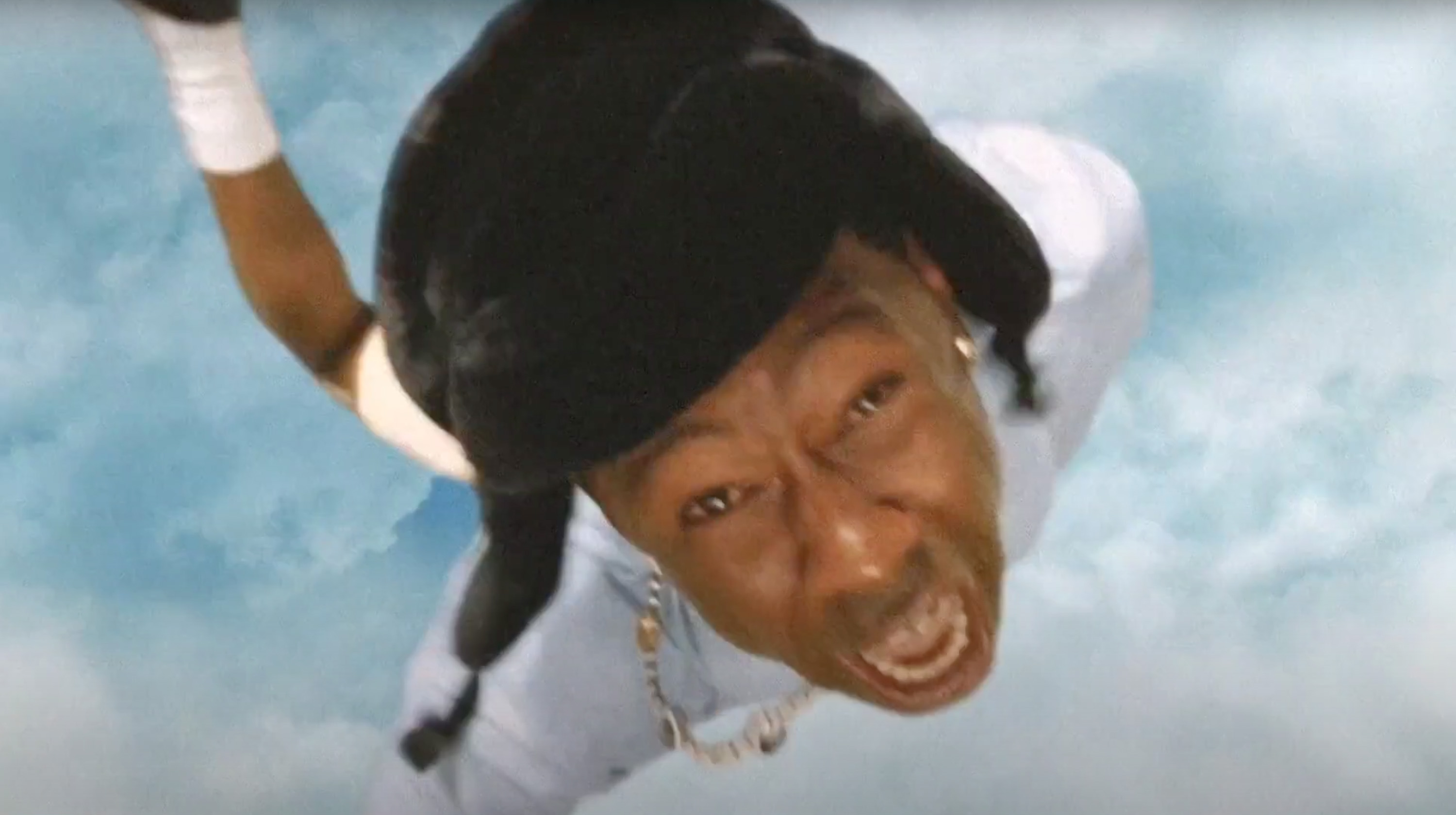 Tyler, The Creator Falling From The Sky Meme Template