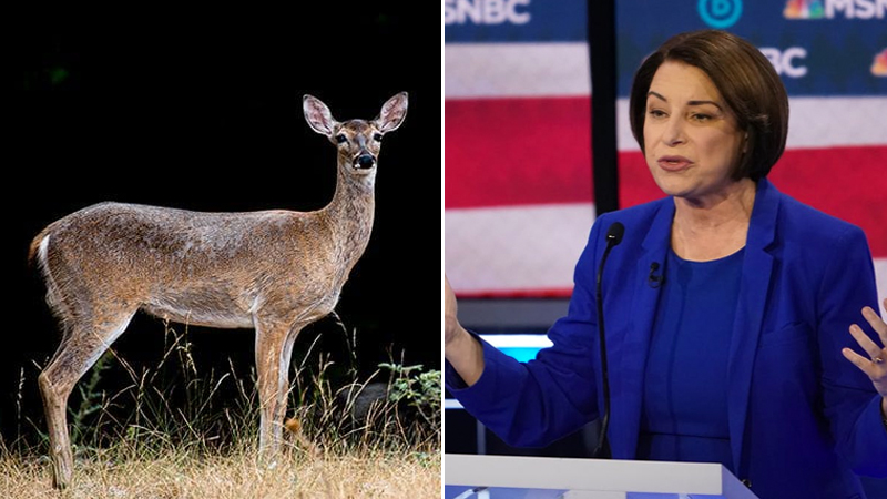 Uncle Dick in the Deer Stand Meme Template