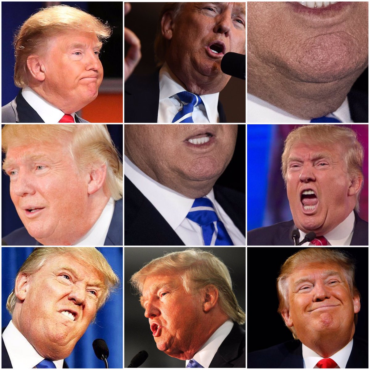 Unflattering Donald Trump