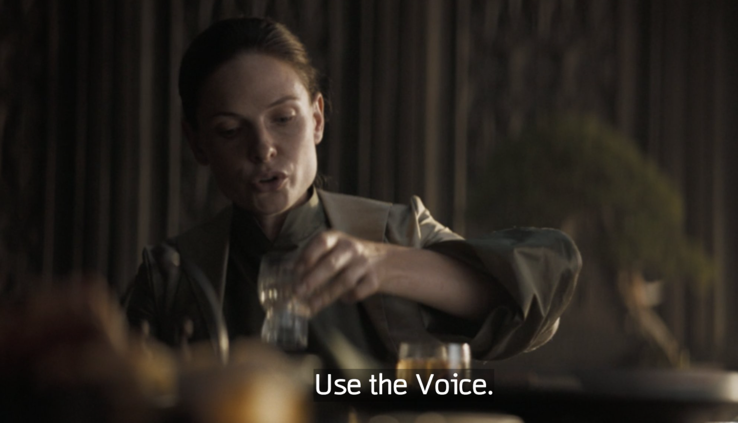 Use The Voice Meme Template