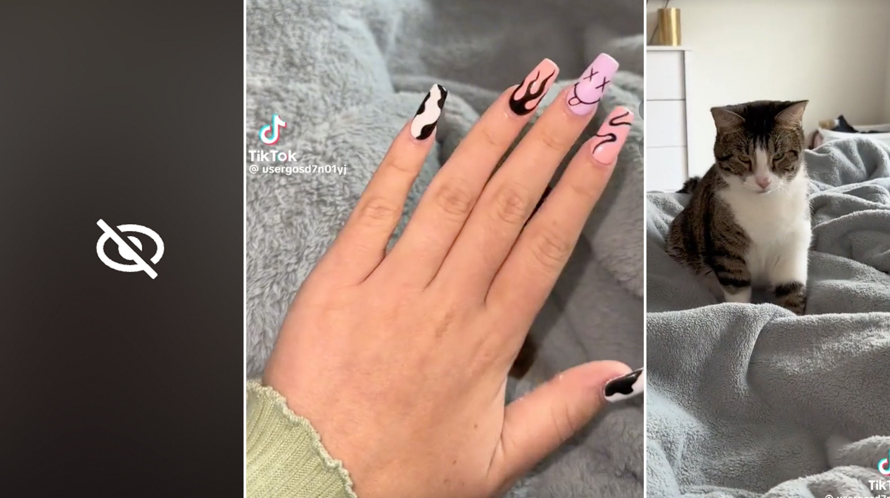 usergosd7n01yj "New Nails & My Kitty" TikTok Video Meme Template
