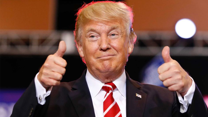 Very Legal and Very Cool Meme Template