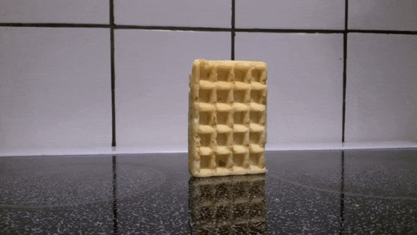 Waffle Falling Over / Waffled Meme Template