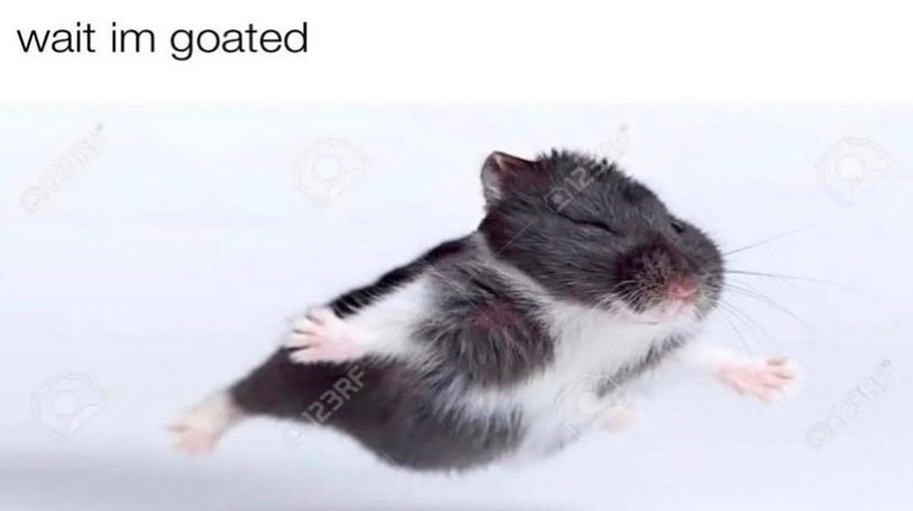 Wait I'm Goated Meme Template