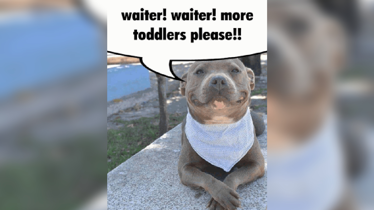 Waiter! Waiter! More Toddlers Please!! Meme Template