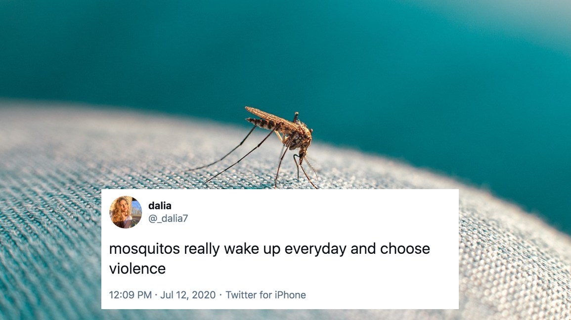 Wake Up And Choose Violence