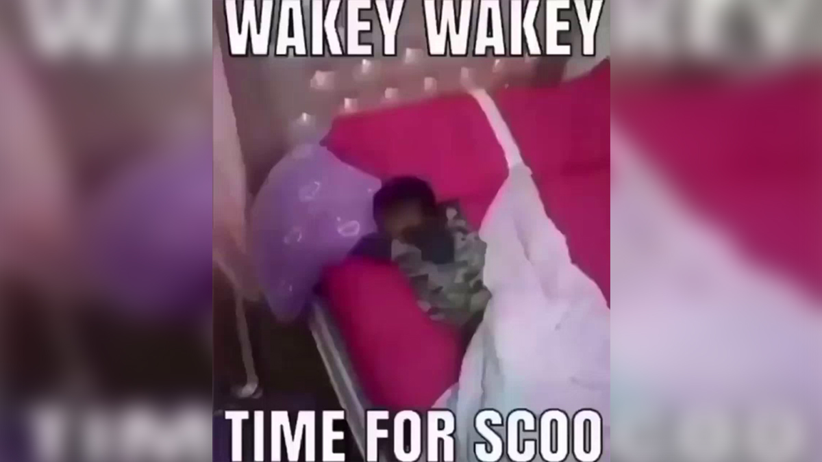 Wakey Wakey it's Time for School