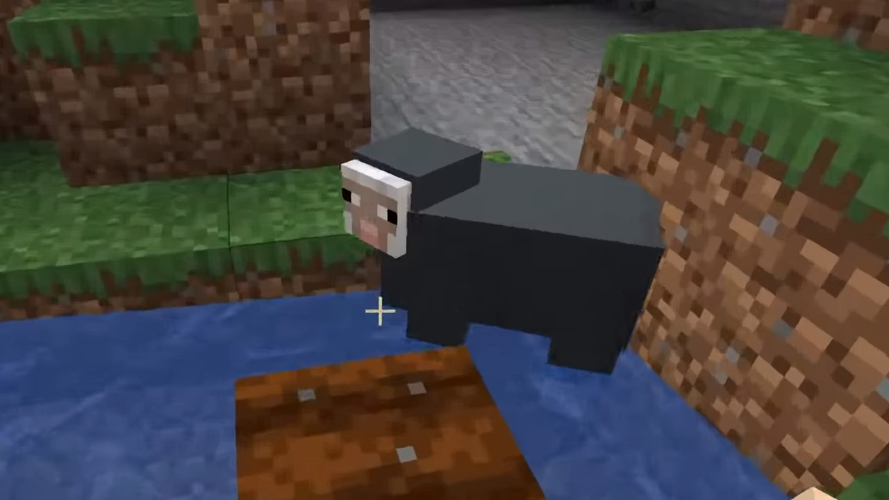 Water Sheep