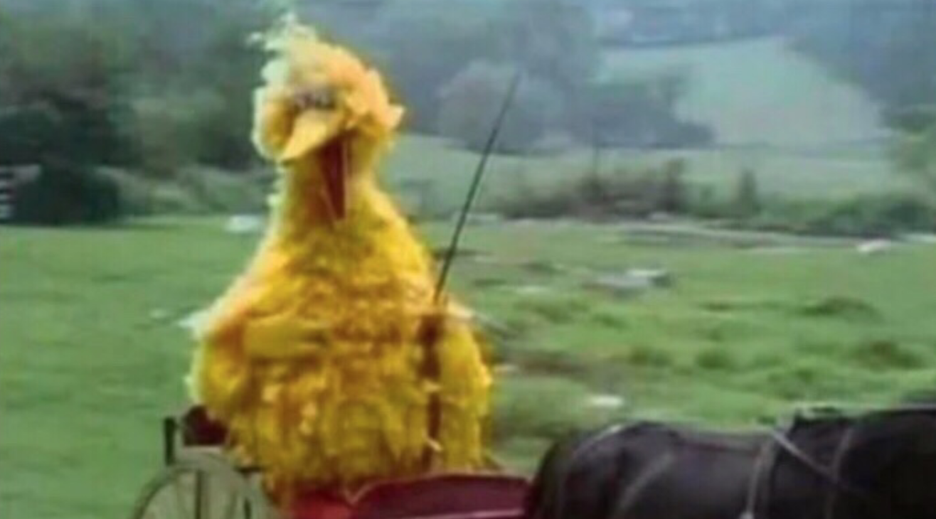 We Ride At Dawn Bitches Meme Template